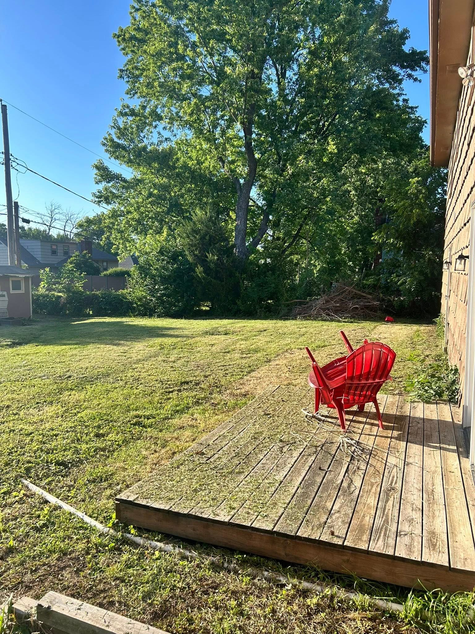 Clean lawn care work by Trip N Treez in Kansas City