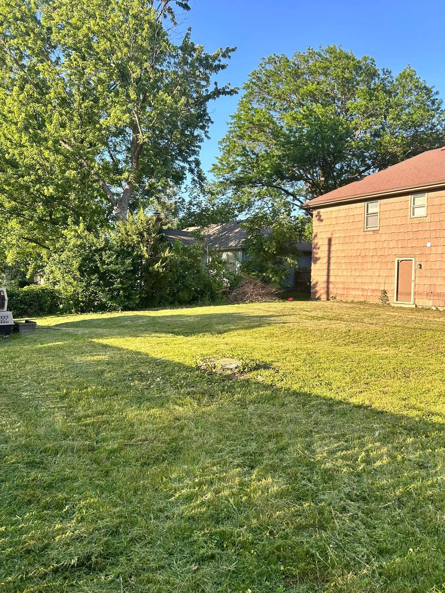 Trip N Treez lawn care service in Kansas City